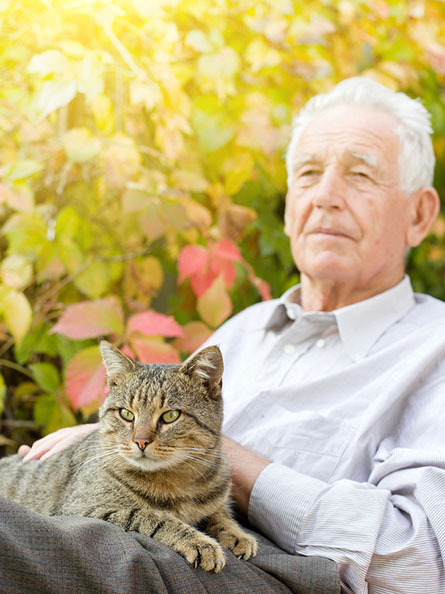 Elderly Care in Los Angeles: Seniors With Pets