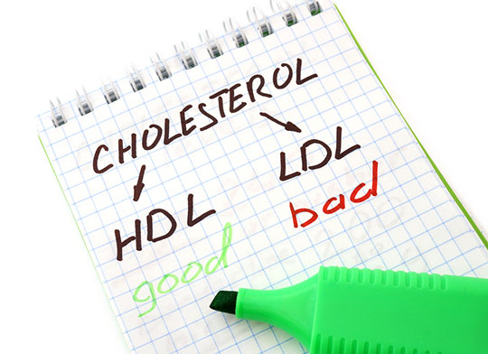 Caregiver in Sherman Oaks CA: Cholesterol Basics