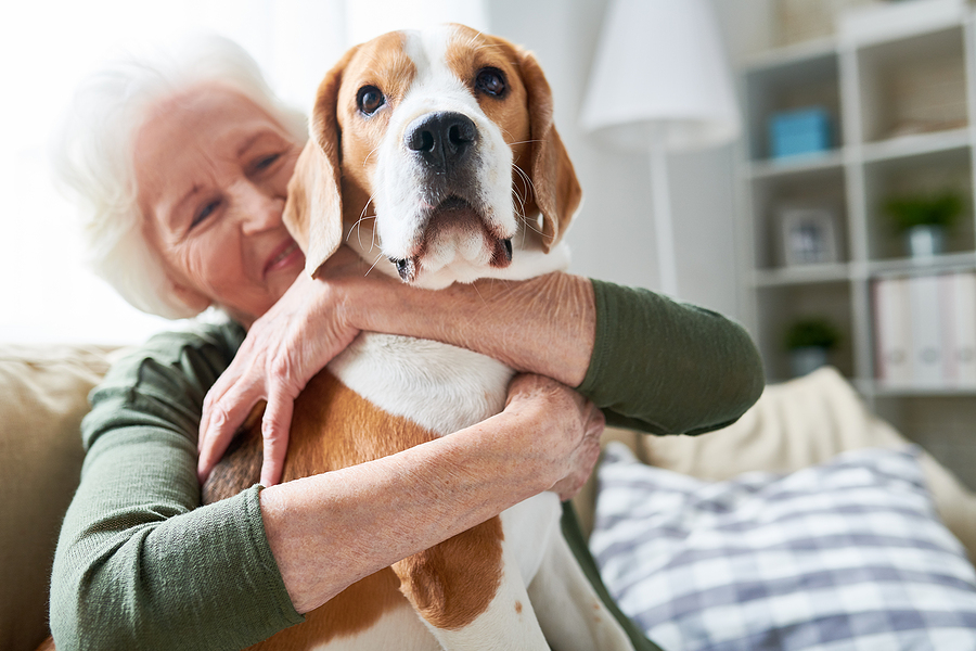 Home Care Assistance in Culver City, CA